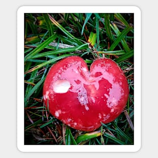 Red Mushroom Heart Sticker